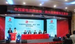 南头镇最新爆料信息网站,揭秘镇域发展新动态与民生热点