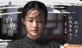 白鹿原电视剧在线观看免费,探寻历史变迁下的家族传奇